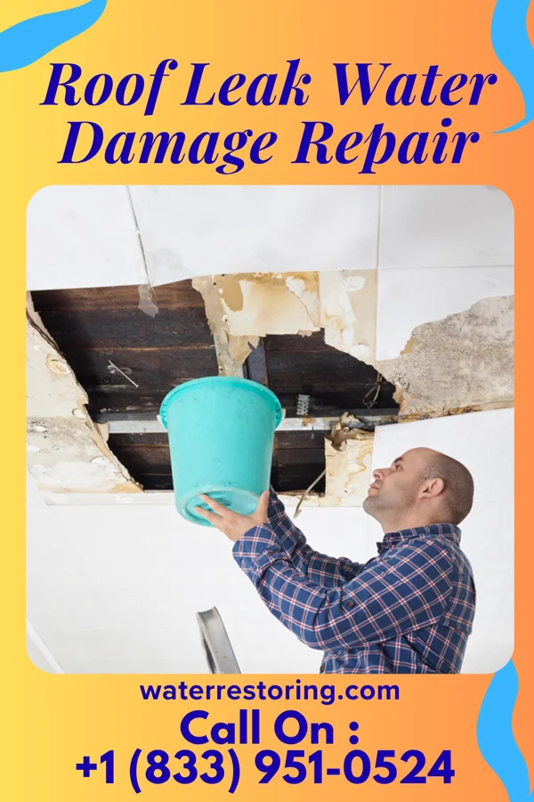 Roof Leak Water Damage Repair in White Hall, IL
